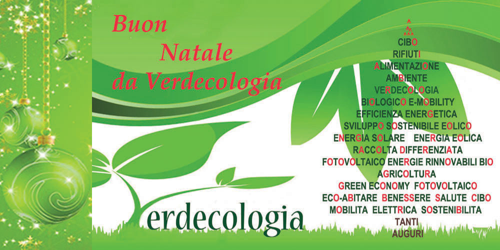 Buon Natale e un sereno anno nuovo da Verdecologia - Verdecologia